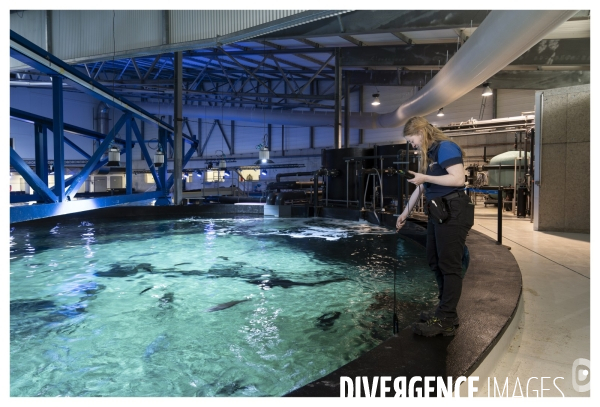 Les coulisses de nausicaa
