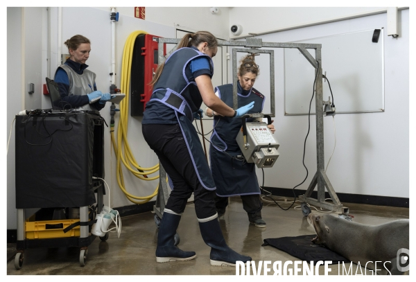 Les coulisses de nausicaa