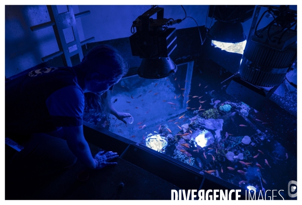 Les coulisses de nausicaa