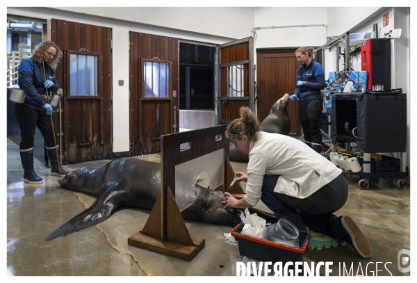 Les coulisses de nausicaa