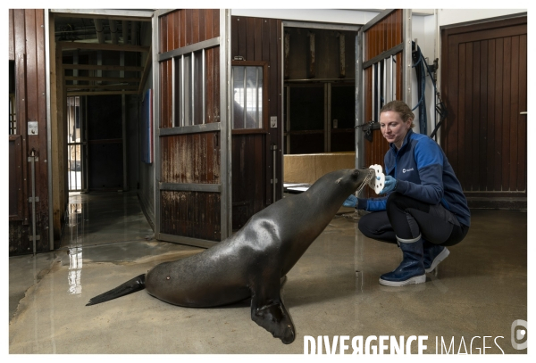 Les coulisses de nausicaa