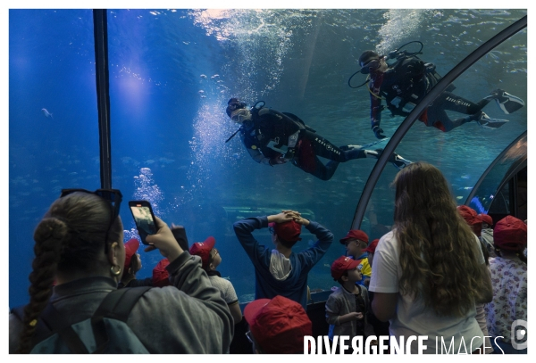 Les coulisses de nausicaa