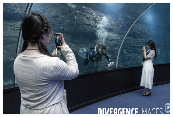 Les coulisses de nausicaa