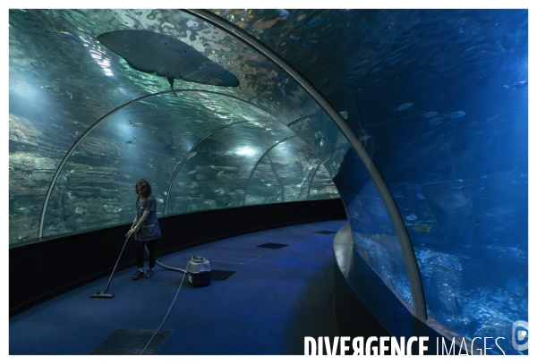 Les coulisses de nausicaa