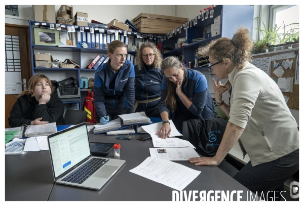 Les coulisses de nausicaa