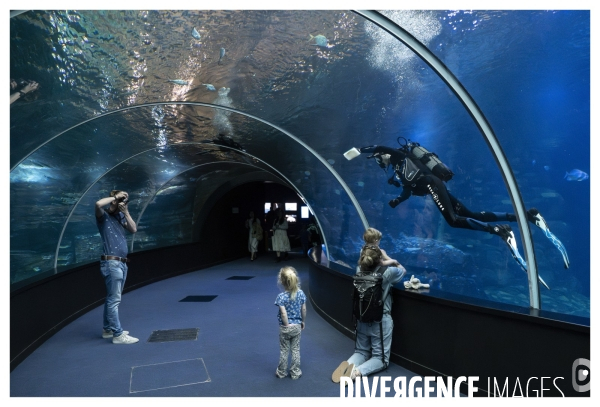 Les coulisses de nausicaa