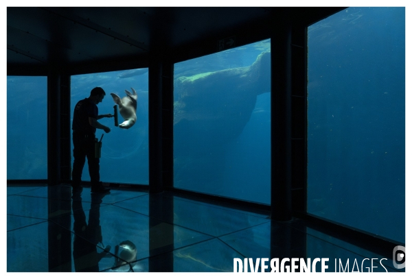 Les coulisses de nausicaa