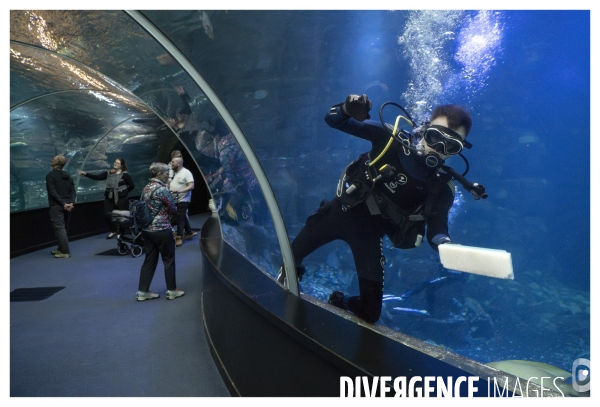 Les coulisses de nausicaa