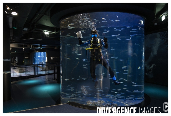 Les coulisses de nausicaa