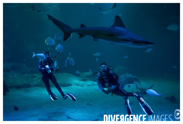 Les coulisses de nausicaa