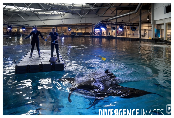 Les coulisses de nausicaa