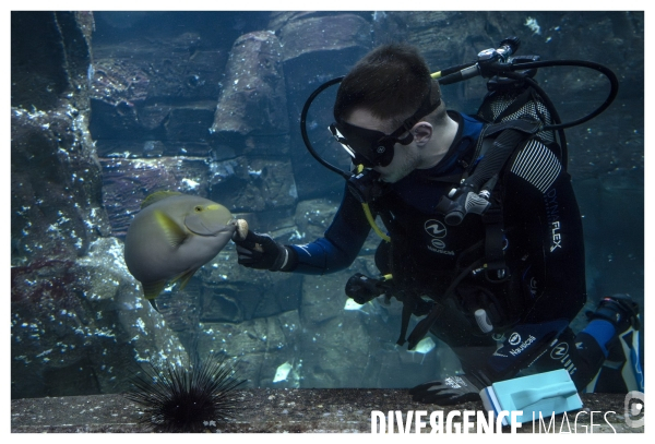 Les coulisses de nausicaa