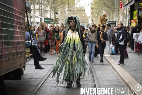 Agro Parade