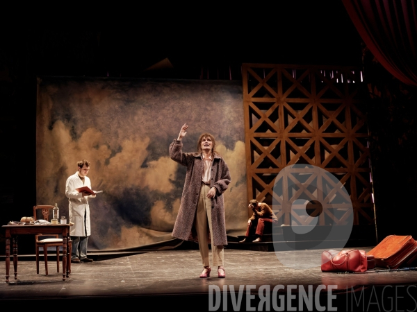Une mouette / Anton Tchekhov / Elsa Granat / Comédie-Française