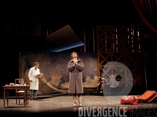 Une mouette / Anton Tchekhov / Elsa Granat / Comédie-Française