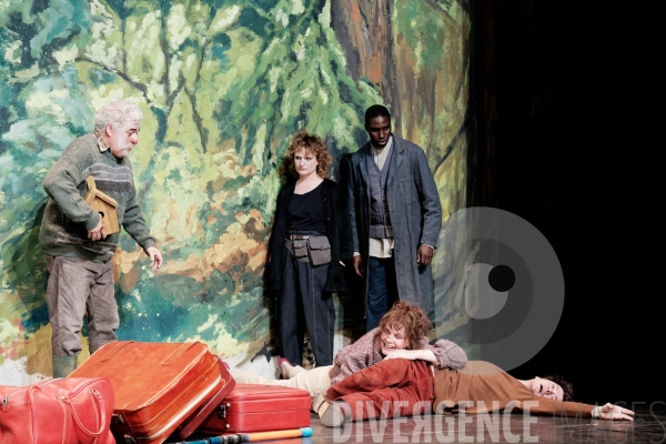 Une mouette / Anton Tchekhov / Elsa Granat / Comédie-Française