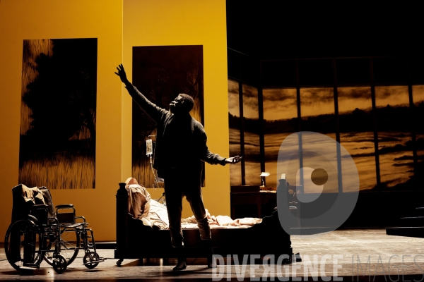 Une mouette / Anton Tchekhov / Elsa Granat / Comédie-Française