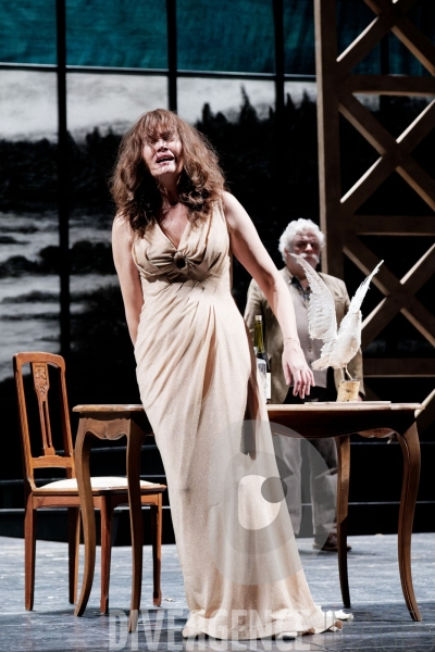 Une mouette / Anton Tchekhov / Elsa Granat / Comédie-Française