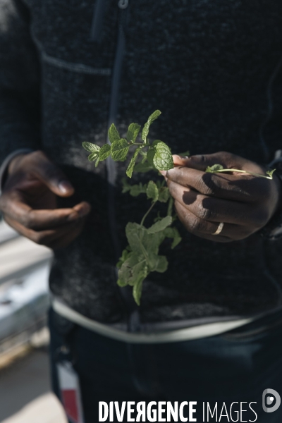 AI data Center - Nebius