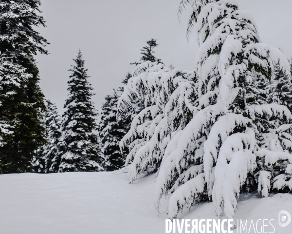 L intempérie d Avril