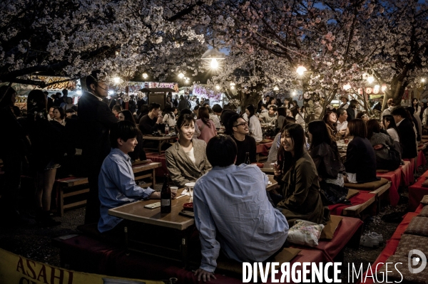 Nuit japonaise