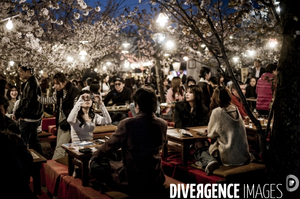 Nuit japonaise