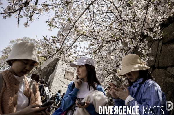 Visages du Japon