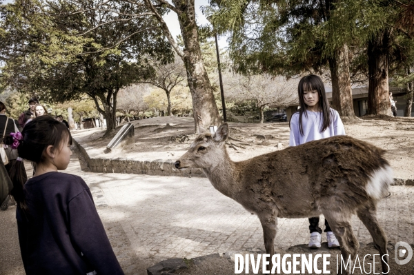 Visages du Japon