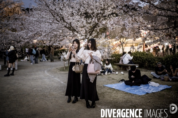 Nuit japonaise