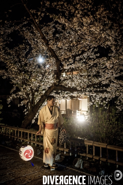 Nuit japonaise