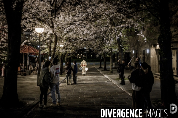 Nuit japonaise