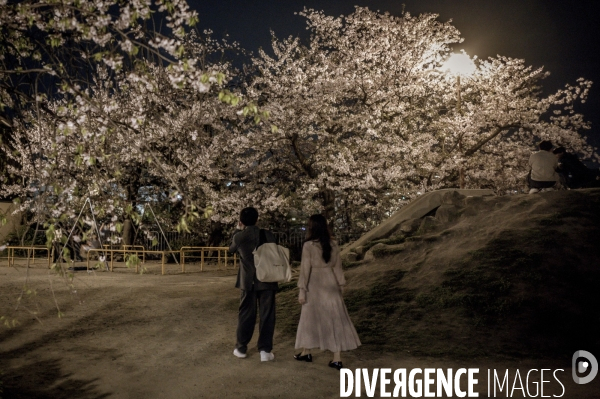 Nuit japonaise