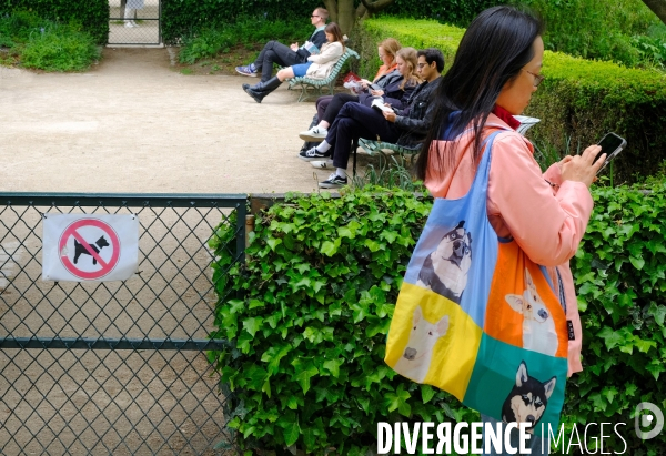 Interdits aux chiens !