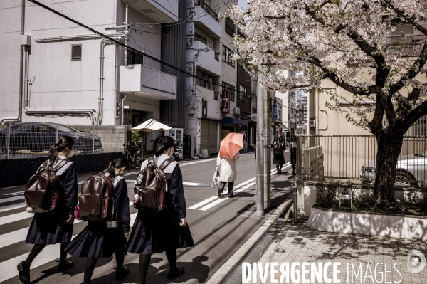 Illustration : Japon