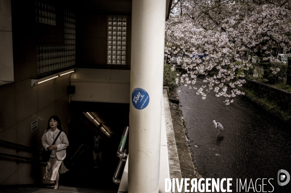 Illustration : Japon
