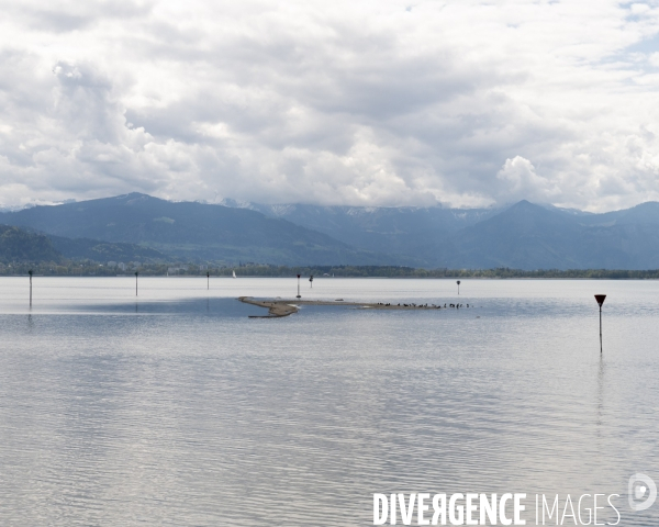 Secheresse lac de Constance - Allemagne