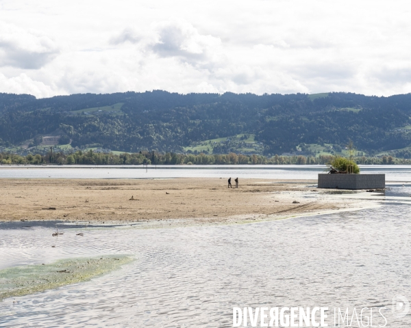 Secheresse lac de Constance - Allemagne