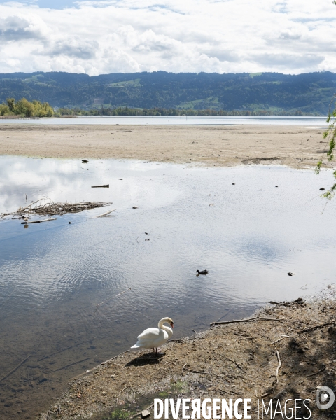 Secheresse lac de Constance - Allemagne