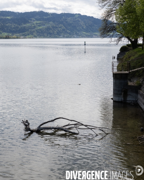 Secheresse lac de Constance - Allemagne