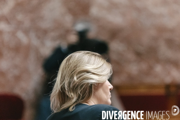 Assemblee nationale 29042025