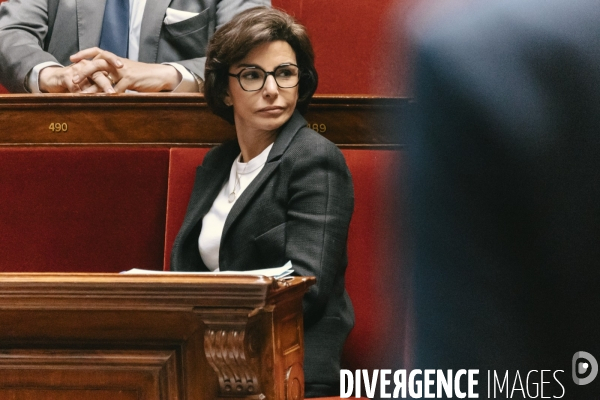 Assemblee nationale 29042025