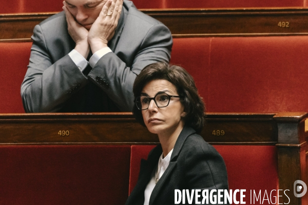Assemblee nationale 29042025