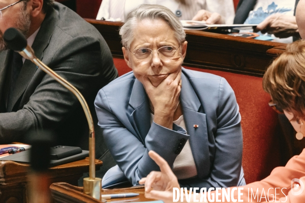 Assemblee nationale 29042025