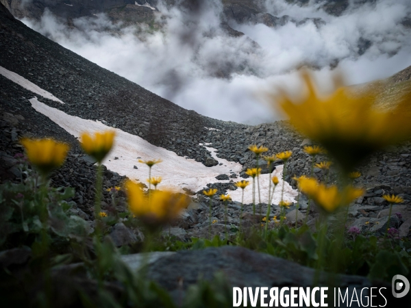 Paysage de montagne