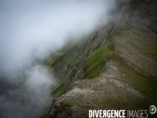 Paysage de montagne