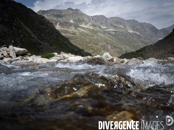 Paysage de montagne