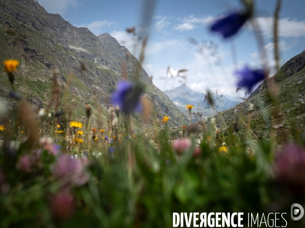 Paysage de montagne