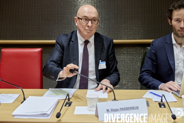 Audition Assemblee Nationale,Commission d’enquête visant à établir les freins à la réindustrialisation de la France ; M. Régis Passerieux, rapporteur au sein de la direction interministérielle de la transformation publique,
