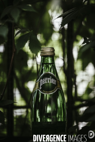 Illustration bouteille de Perrier... Eau minerale naturelle , vraiment ?