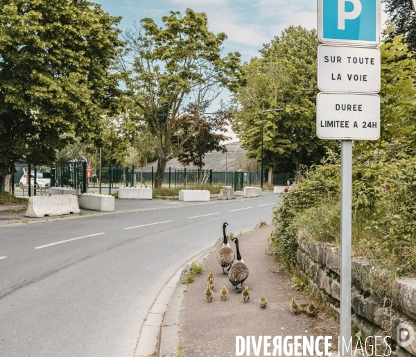 Bords de Marne 9-4